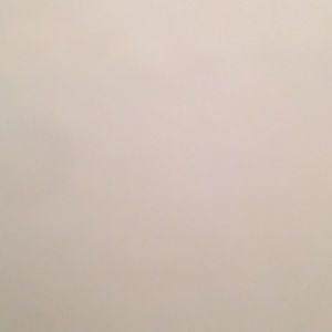 Meet your Posher, Brandi